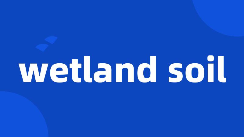 wetland soil