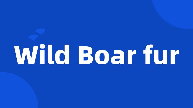 Wild Boar fur