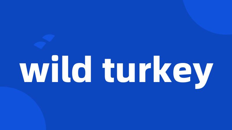 wild turkey
