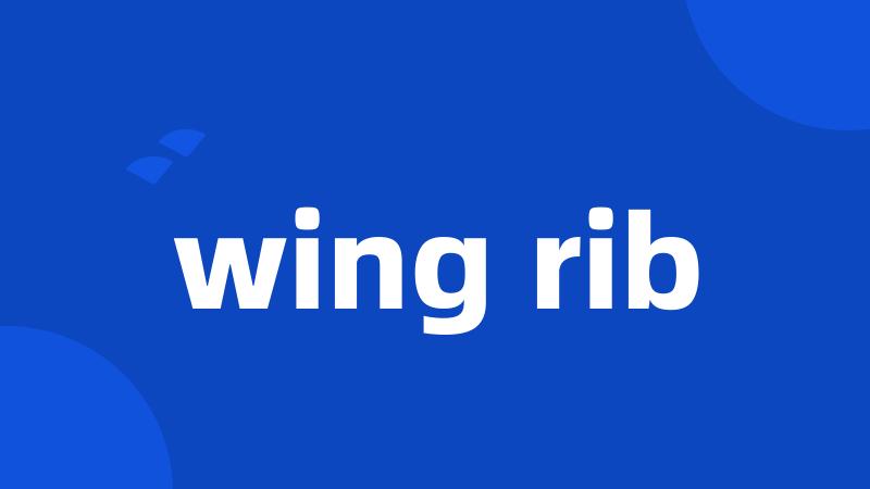 wing rib