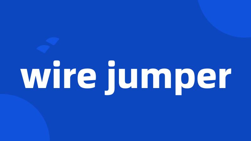 wire jumper