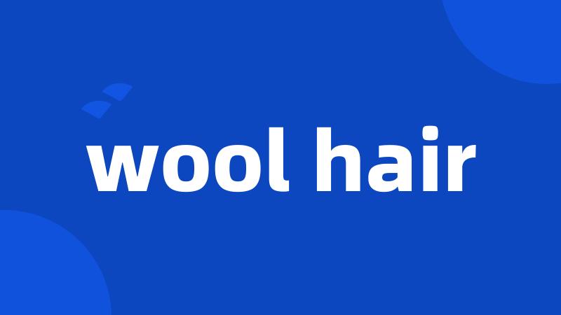 wool hair