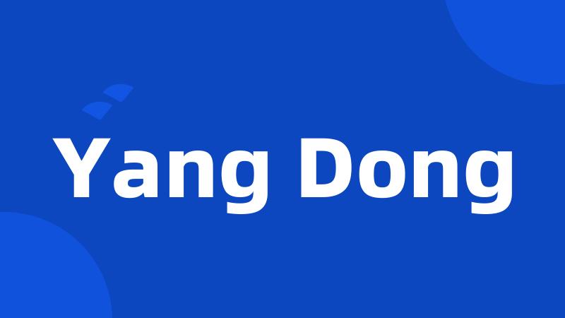 Yang Dong