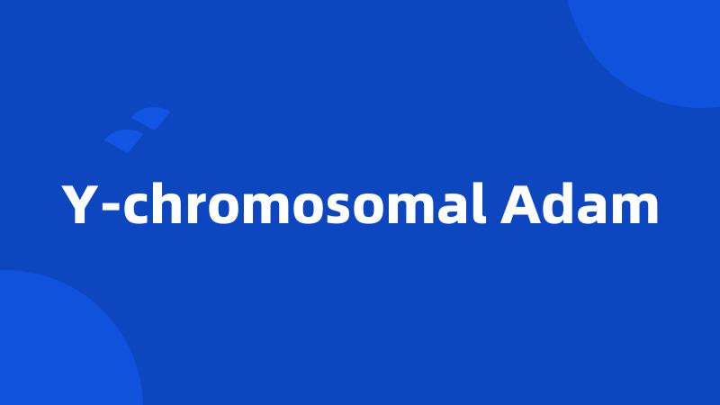 Y-chromosomal Adam