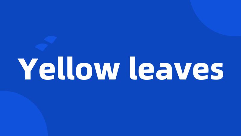 Yellow leaves