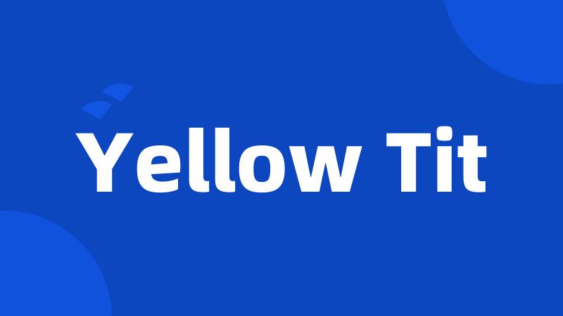 Yellow Tit