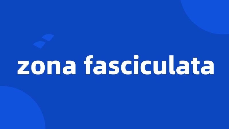 zona fasciculata