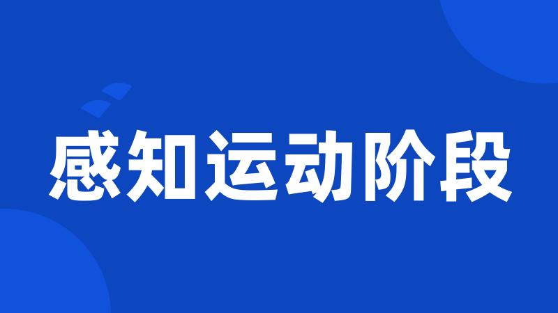 感知运动阶段