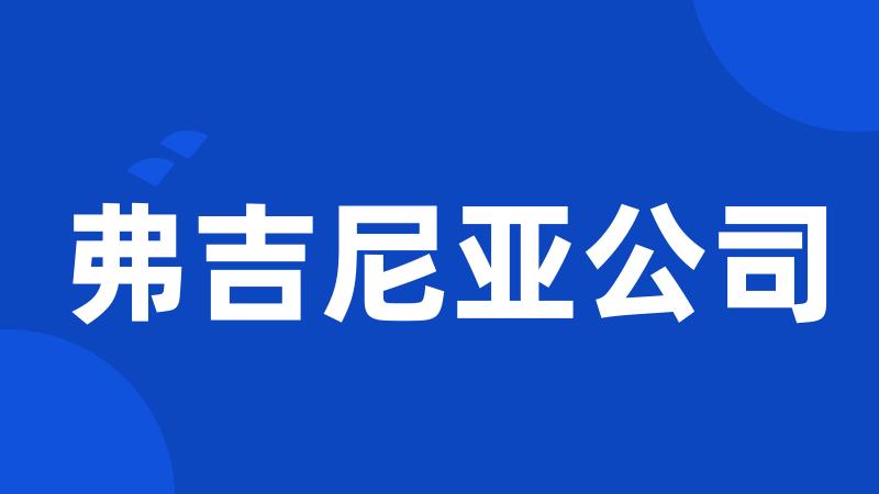 弗吉尼亚公司