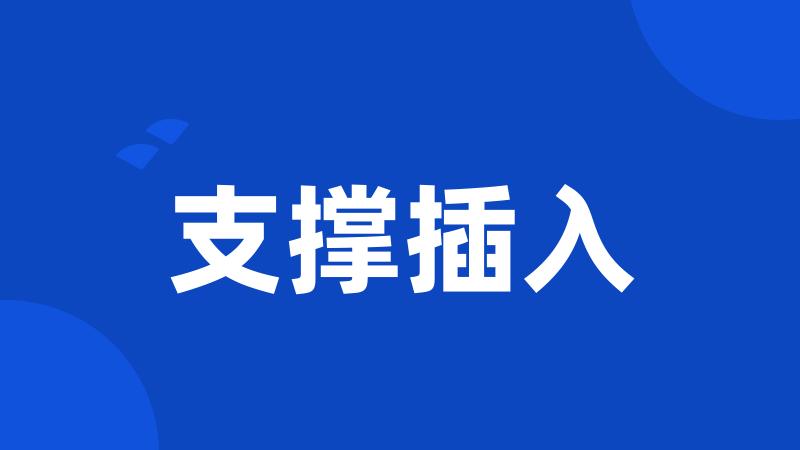 支撑插入