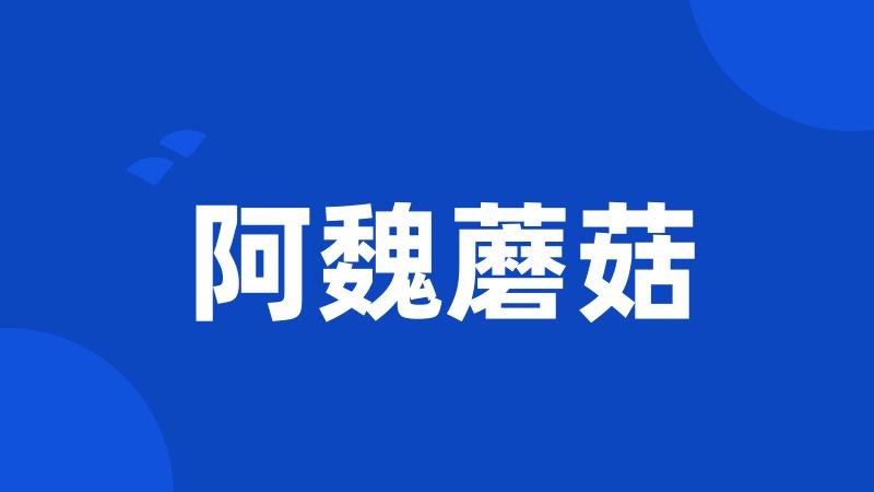阿魏蘑菇
