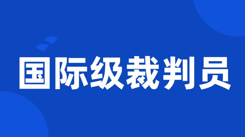 国际级裁判员