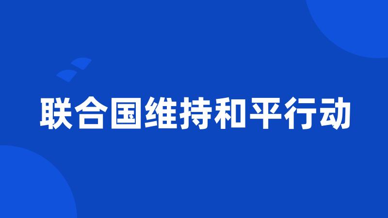 联合国维持和平行动