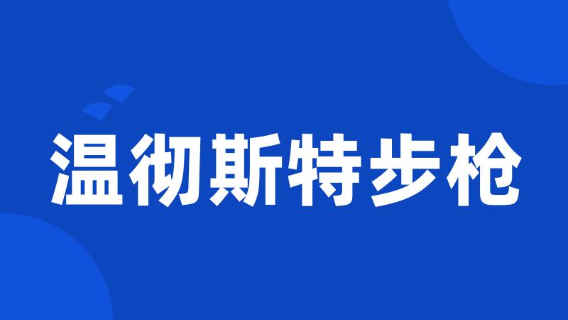 温彻斯特步枪