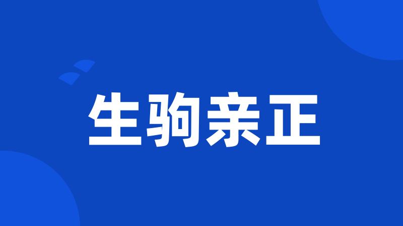 生驹亲正