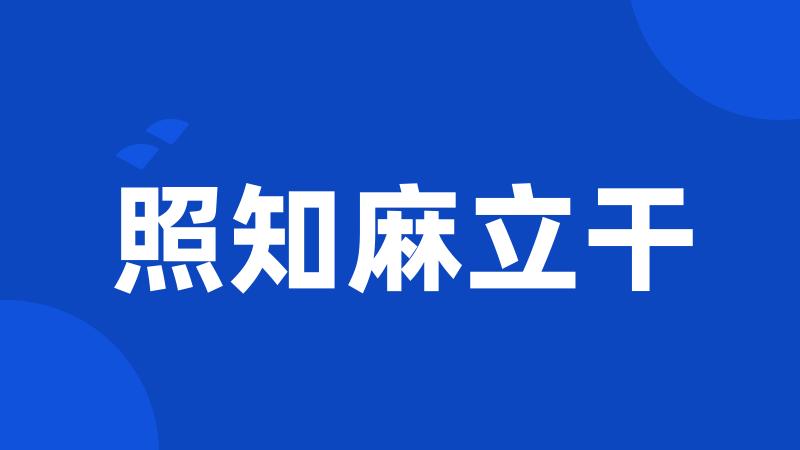 照知麻立干