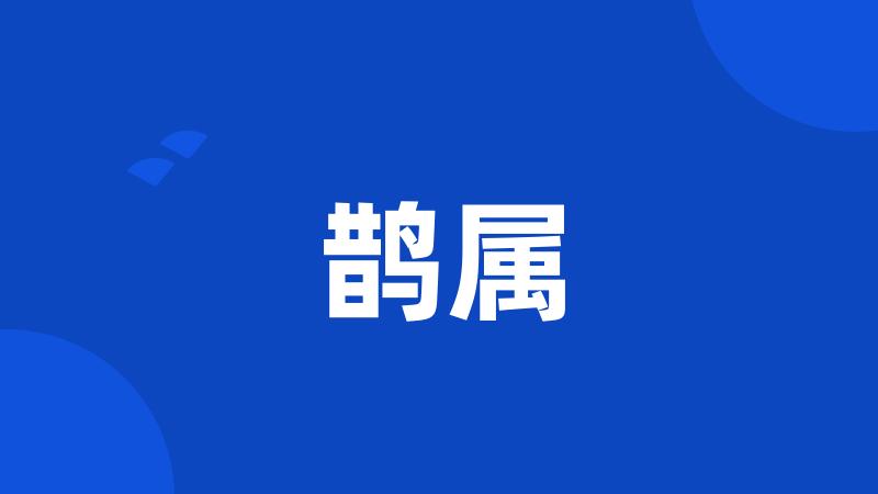 鹊属