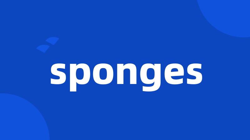 sponges