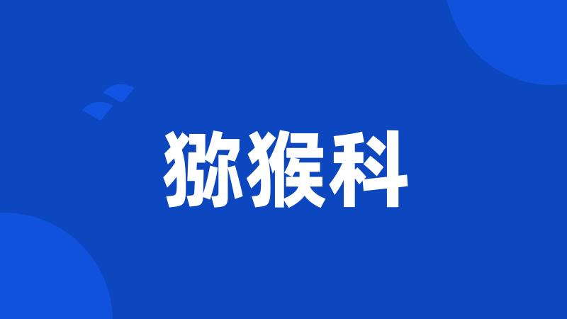 猕猴科