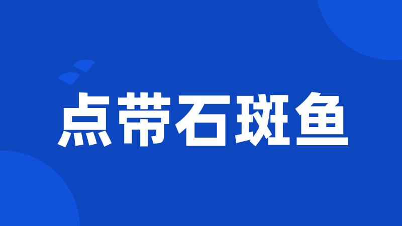 点带石斑鱼