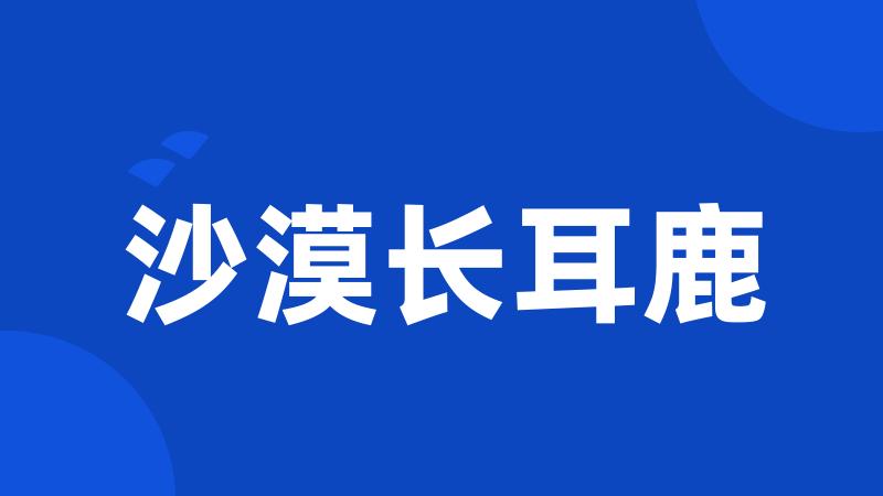 沙漠长耳鹿