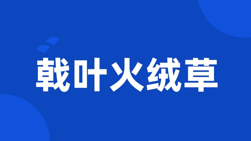 戟叶火绒草