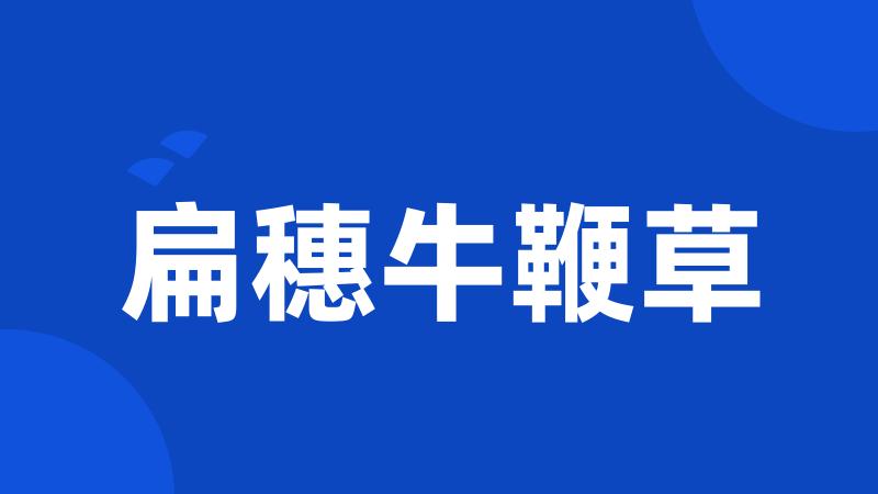 扁穗牛鞭草