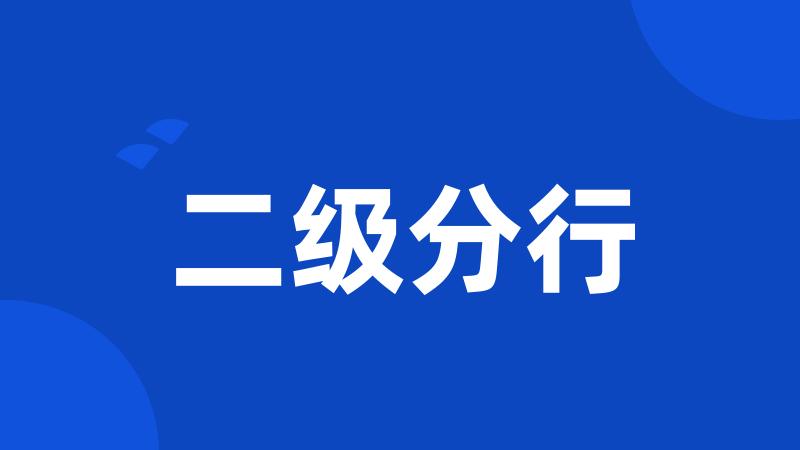 二级分行