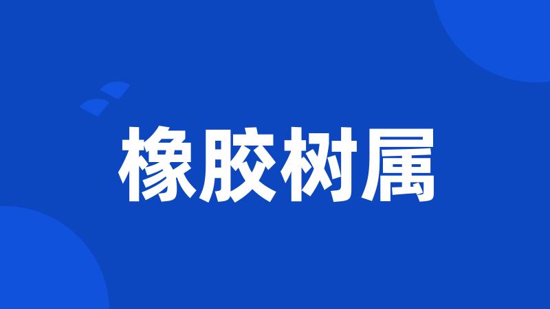 橡胶树属