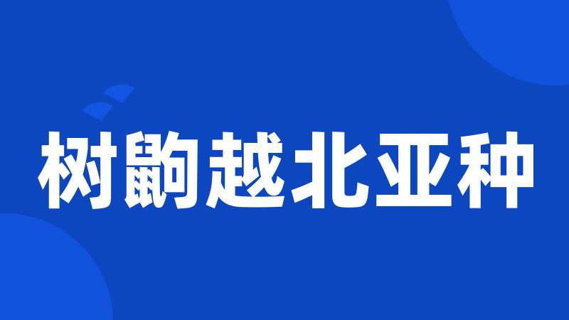 树鼩越北亚种