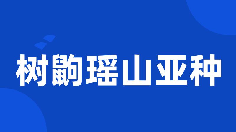 树鼩瑶山亚种