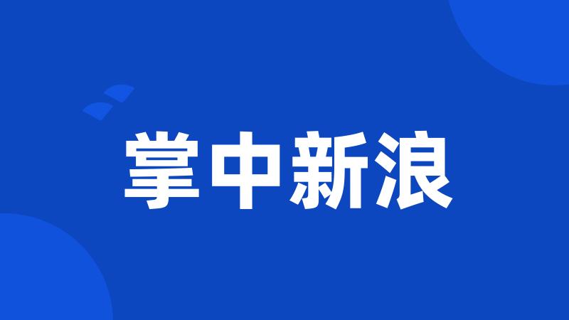 掌中新浪
