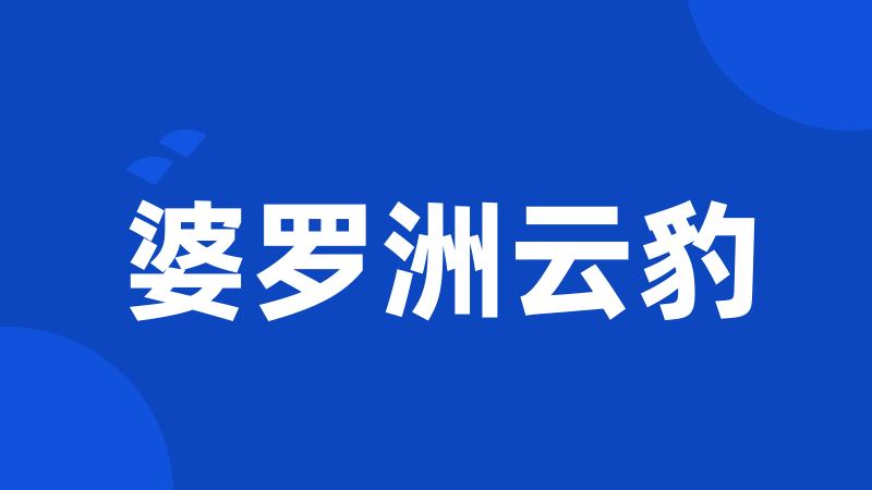 婆罗洲云豹