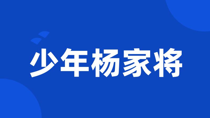 少年杨家将