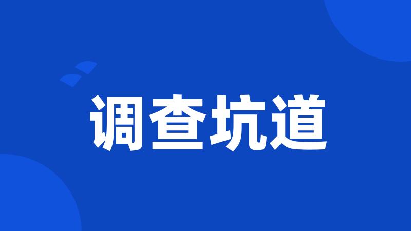 调查坑道