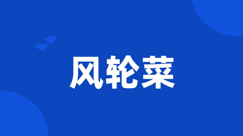 风轮菜