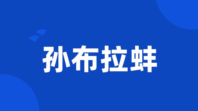 孙布拉蚌