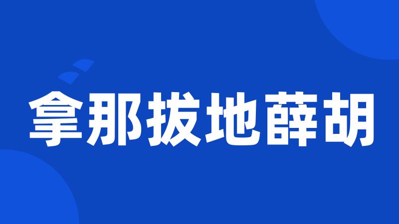 拿那拔地薛胡