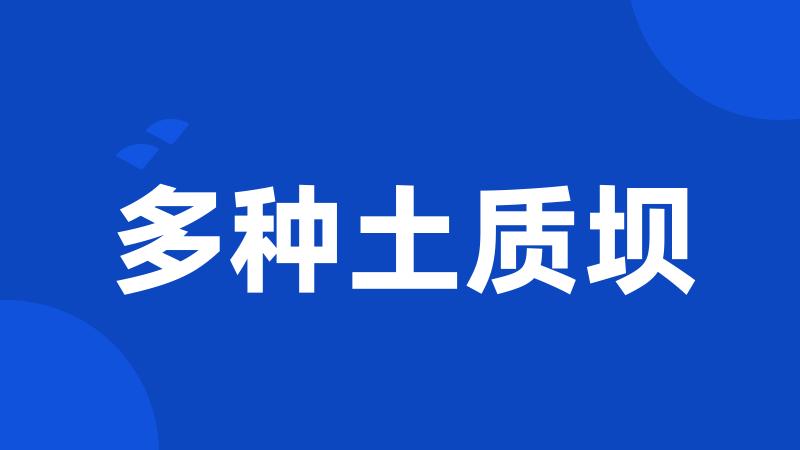多种土质坝