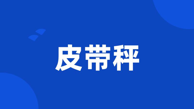皮带秤