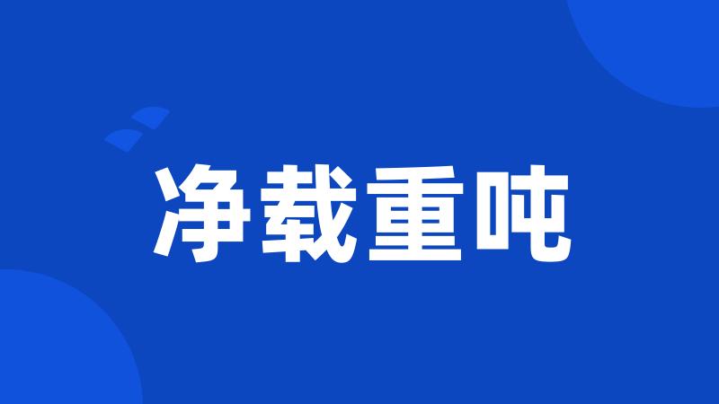 净载重吨