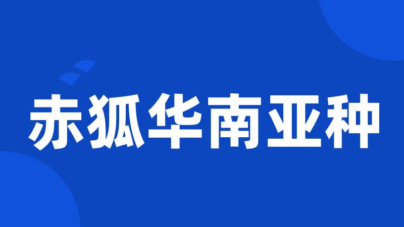 赤狐华南亚种