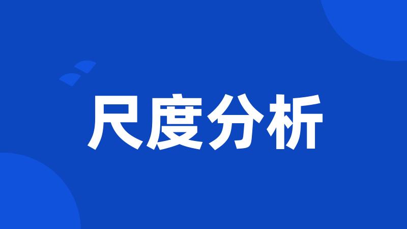 尺度分析
