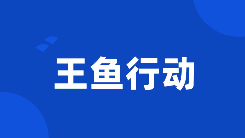 王鱼行动