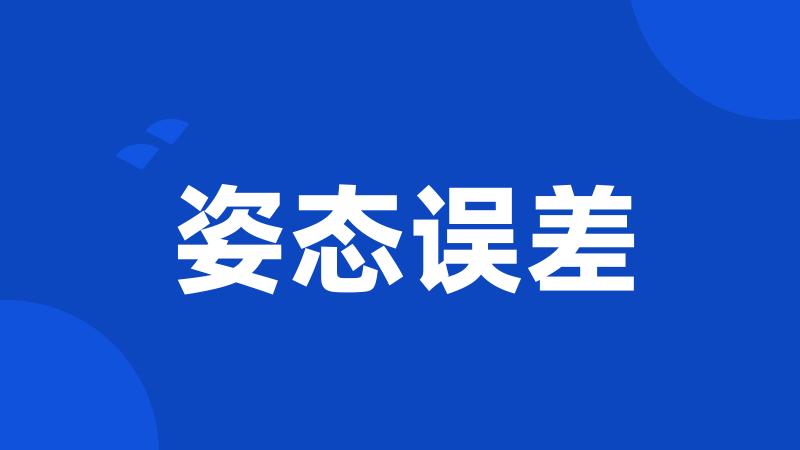 姿态误差