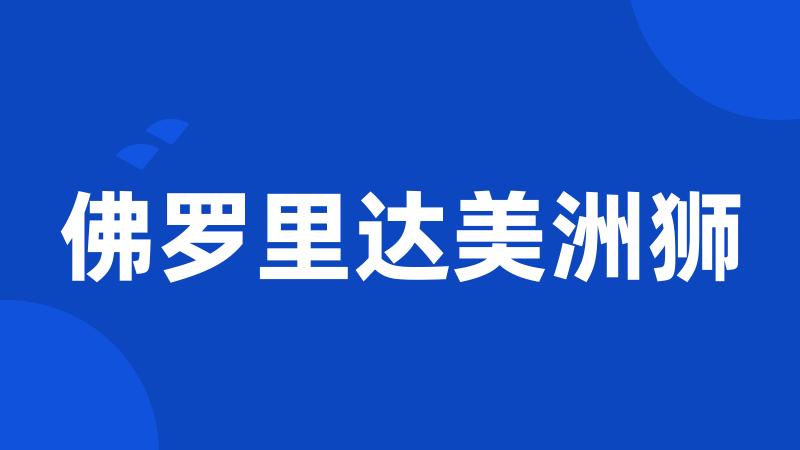 佛罗里达美洲狮