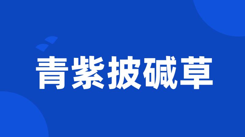 青紫披碱草