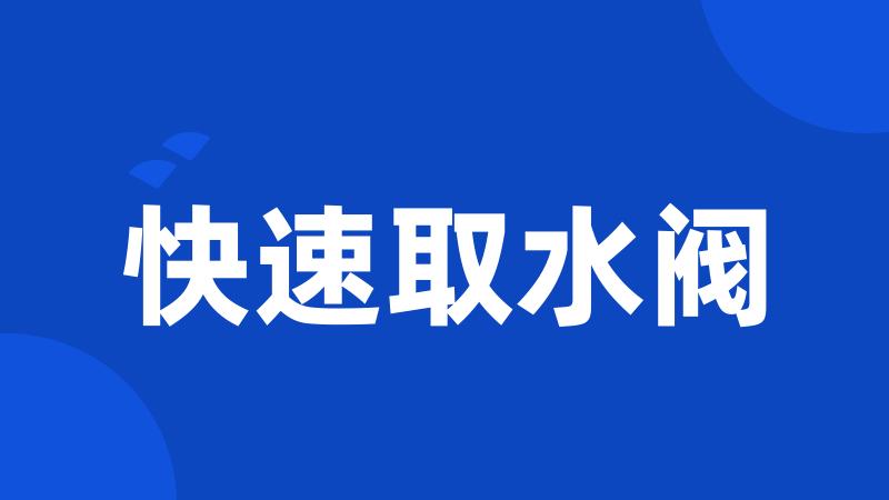 快速取水阀