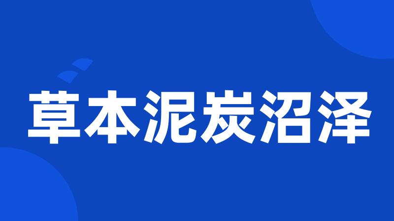 草本泥炭沼泽