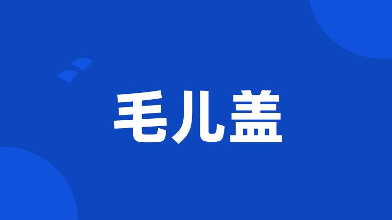 毛儿盖